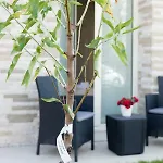 Πανσιόν Relais Dei Mandorli 4*