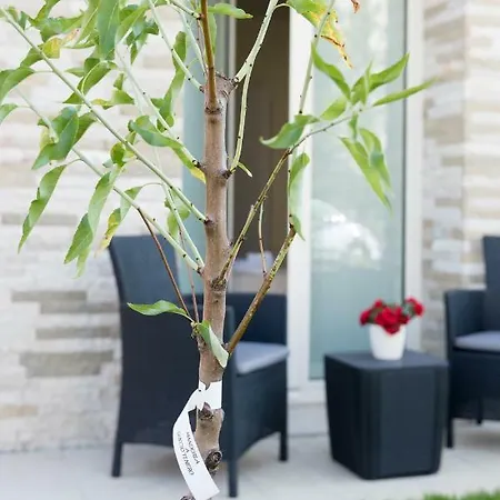 Pensionat Relais Dei Mandorli 4*